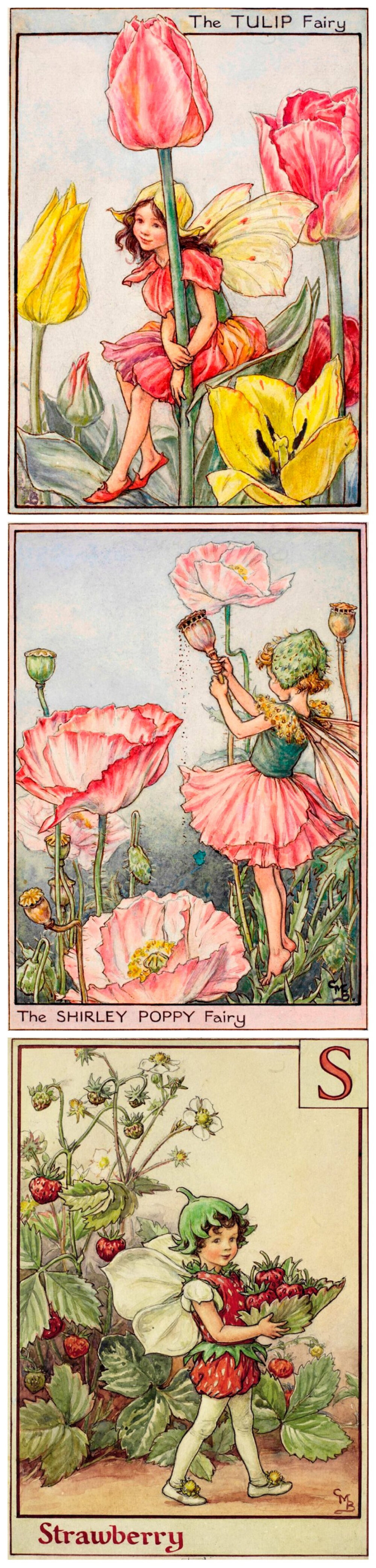 花仙子 Flower Fairies 作者:Cicely Mary Barker