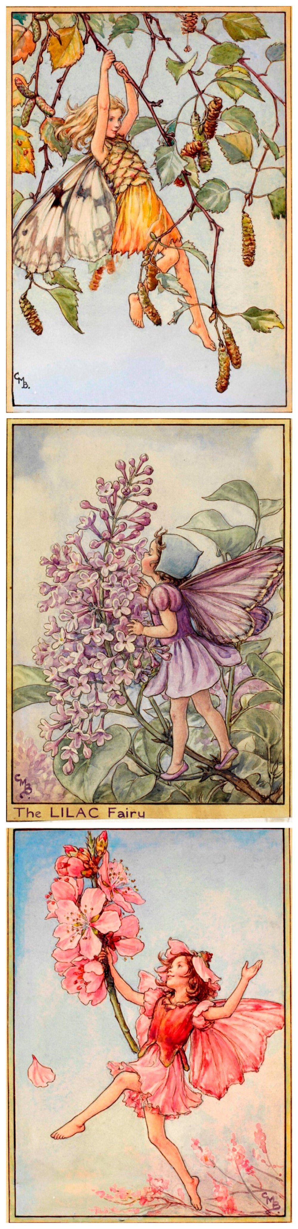 花仙子 Flower Fairies 作者:Cicely Mary Barker