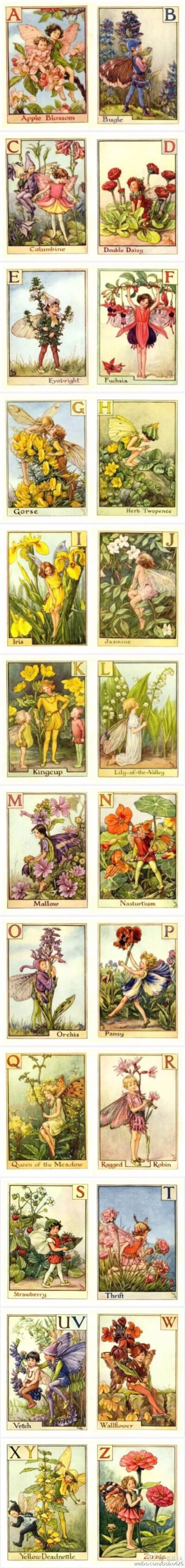 花仙子 Flower Fairies 作者:Cicely Mary Barker