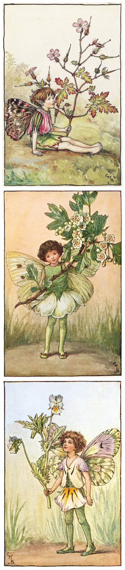 花仙子 Flower Fairies 作者:Cicely Mary Barker