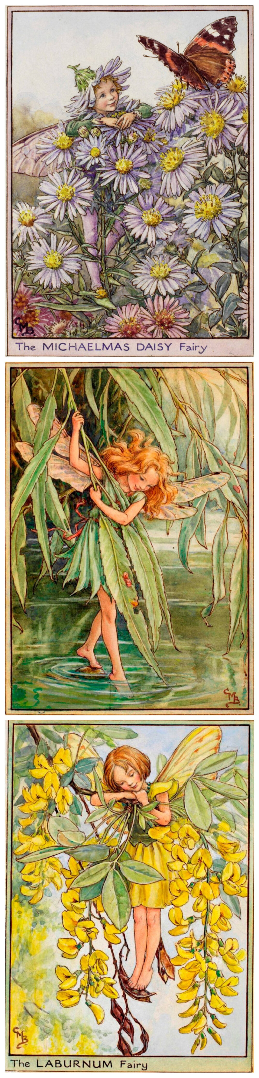 花仙子 Flower Fairies 作者:Cicely Mary Barker