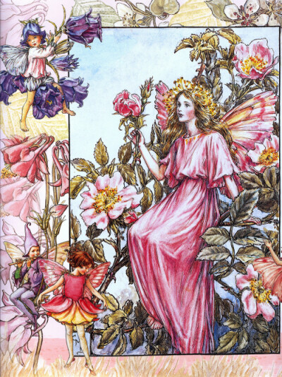 花仙子 Flower Fairies 作者:Cicely Mary Barker