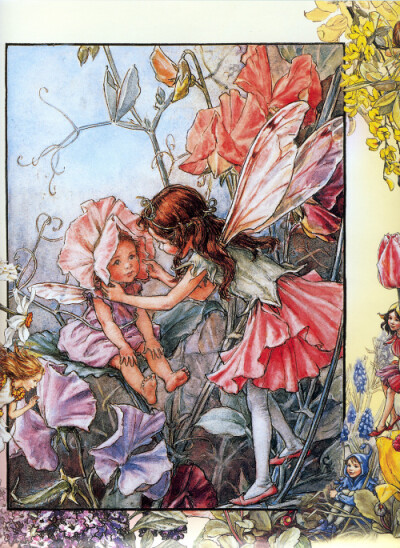 花仙子 Flower Fairies 作者:Cicely Mary Barker