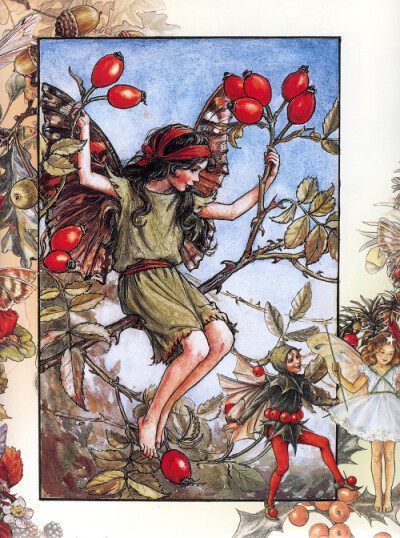 花仙子 Flower Fairies 作者:Cicely Mary Barker