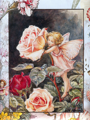 花仙子  Flower Fairies  作者:Cicely Mary Barker