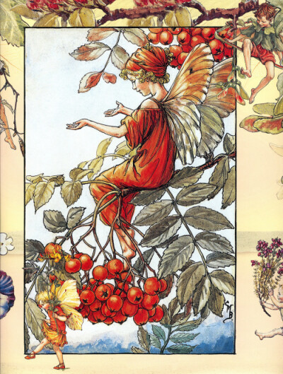 花仙子 Flower Fairies 作者:Cicely Mary Barker