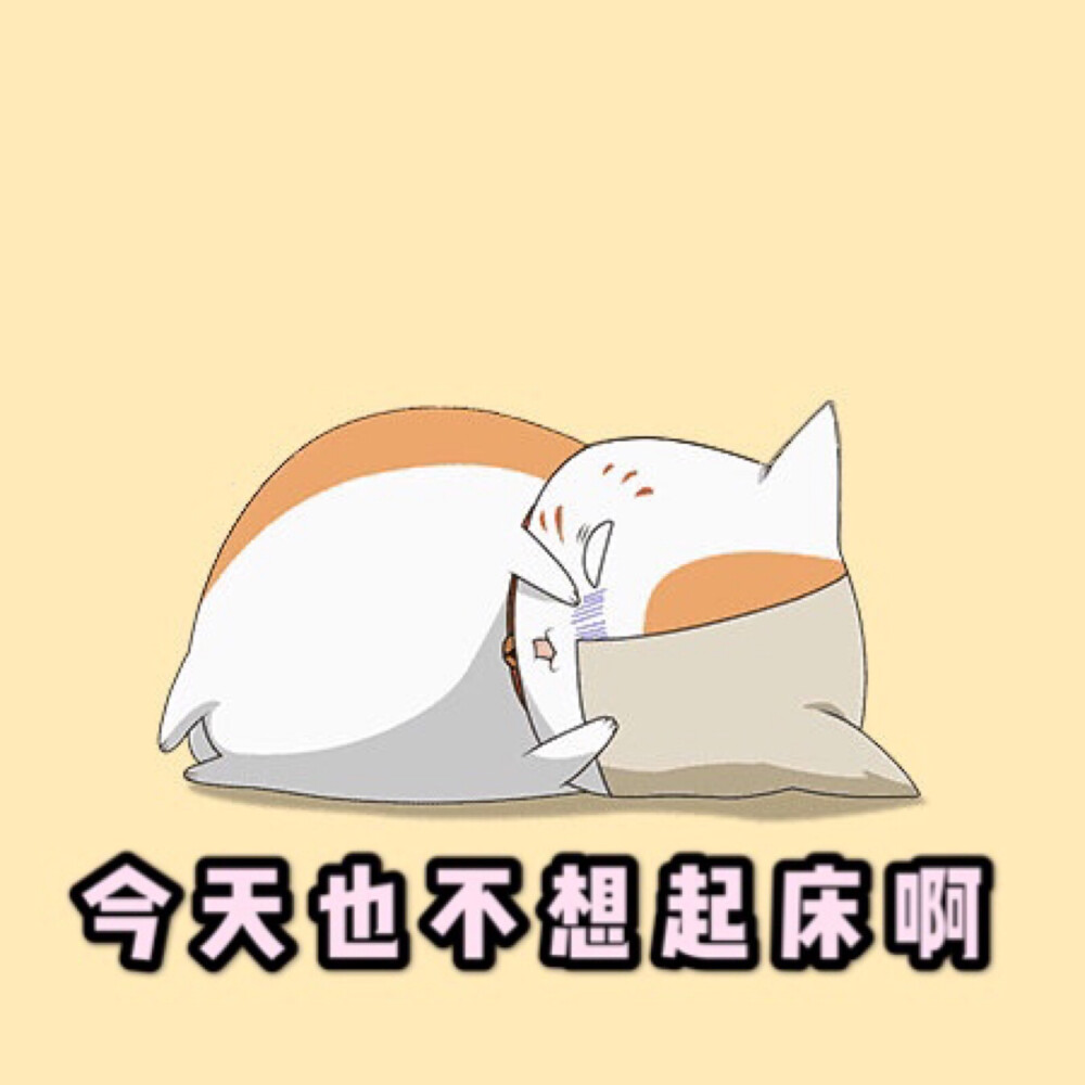 猫咪老师表情包