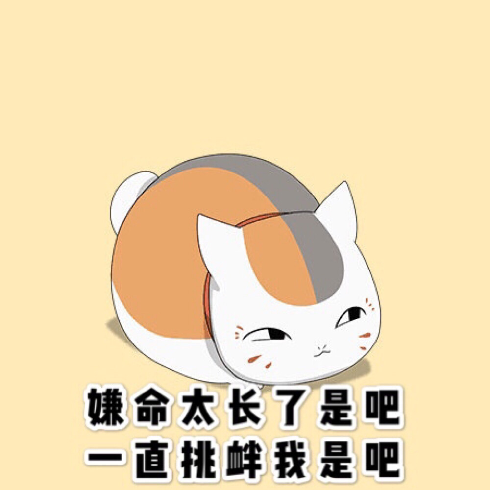 猫咪老师表情包