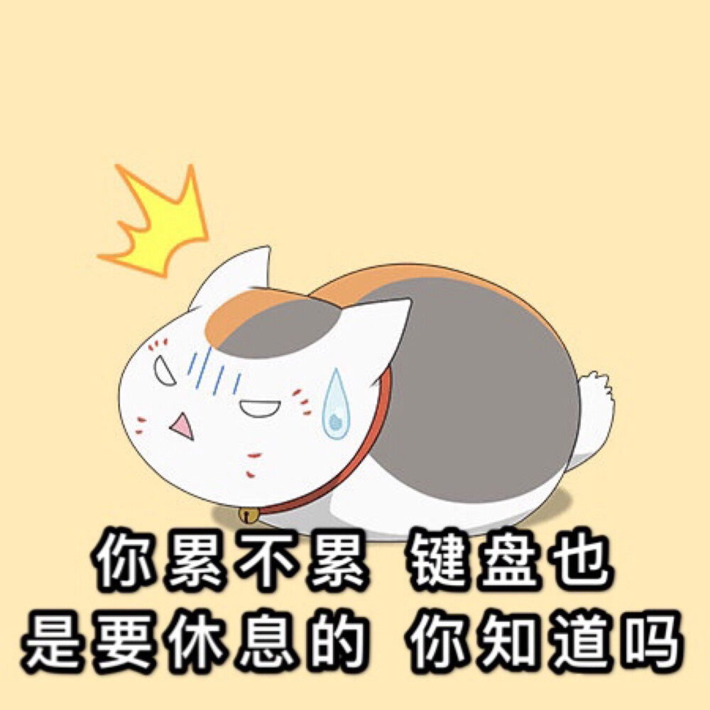 猫咪老师表情包