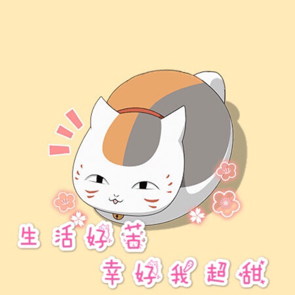 猫咪老师表情包