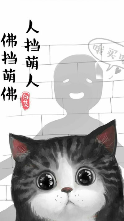 白茶与猫 吾皇