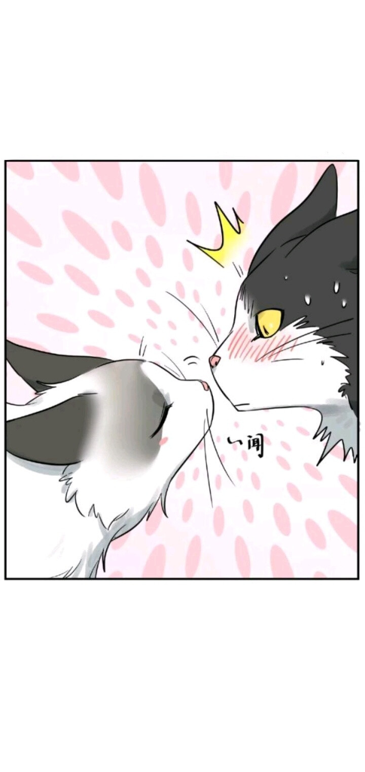 猫猫 拟人 漫画截图