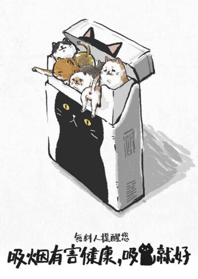 猫猫