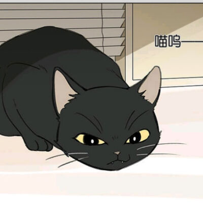 情侣头像 猫鼠 漫画截图