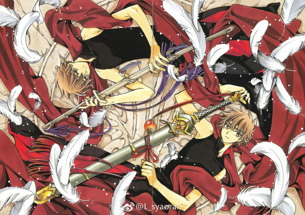 翼年代记--双狼