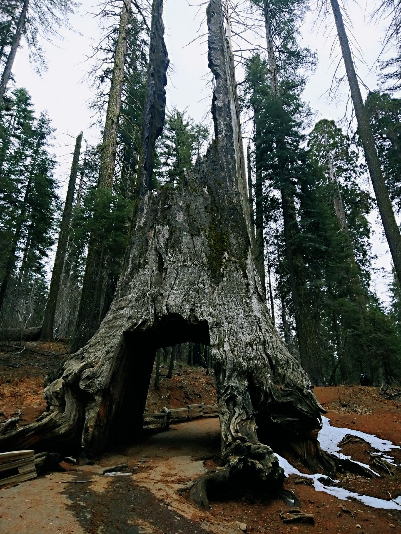 优胜美地 Yosemite National Park