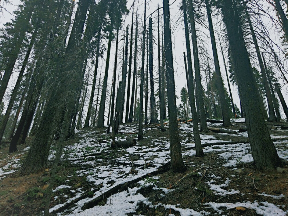 优胜美地 Yosemite National Park