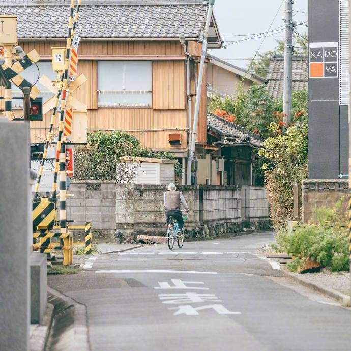 日本的清新夏日