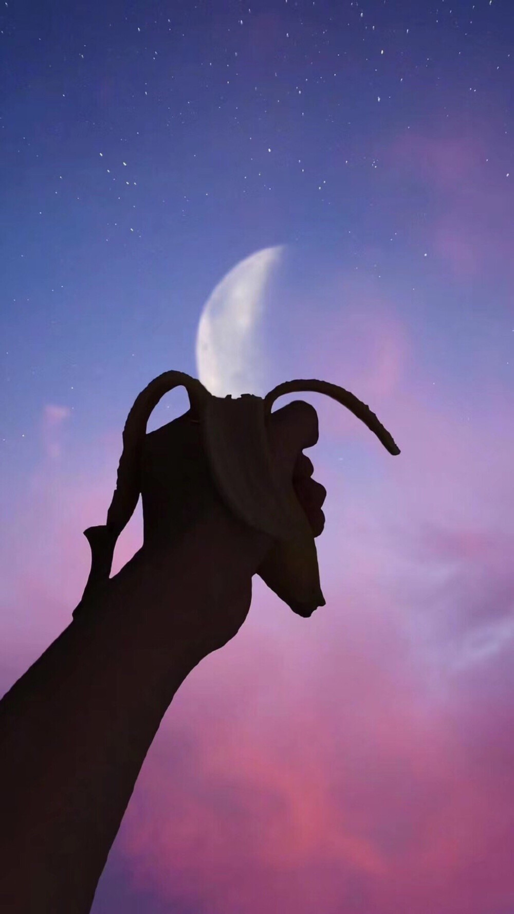 艺术作品 背景 头像