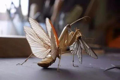 Noriyuki Saitoh是世界上少数
能够结合解剖精华和丰富想象力
于一体的艺术家之一。
他以如同解剖学一样精准的精神，
加上艺术家特有的美学观感，
制作出的竹编昆虫，
细腻而精致，
连翅膀纹路都清晰可见！
