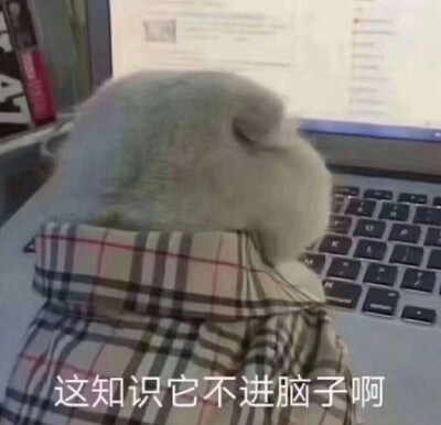 哈哈哈