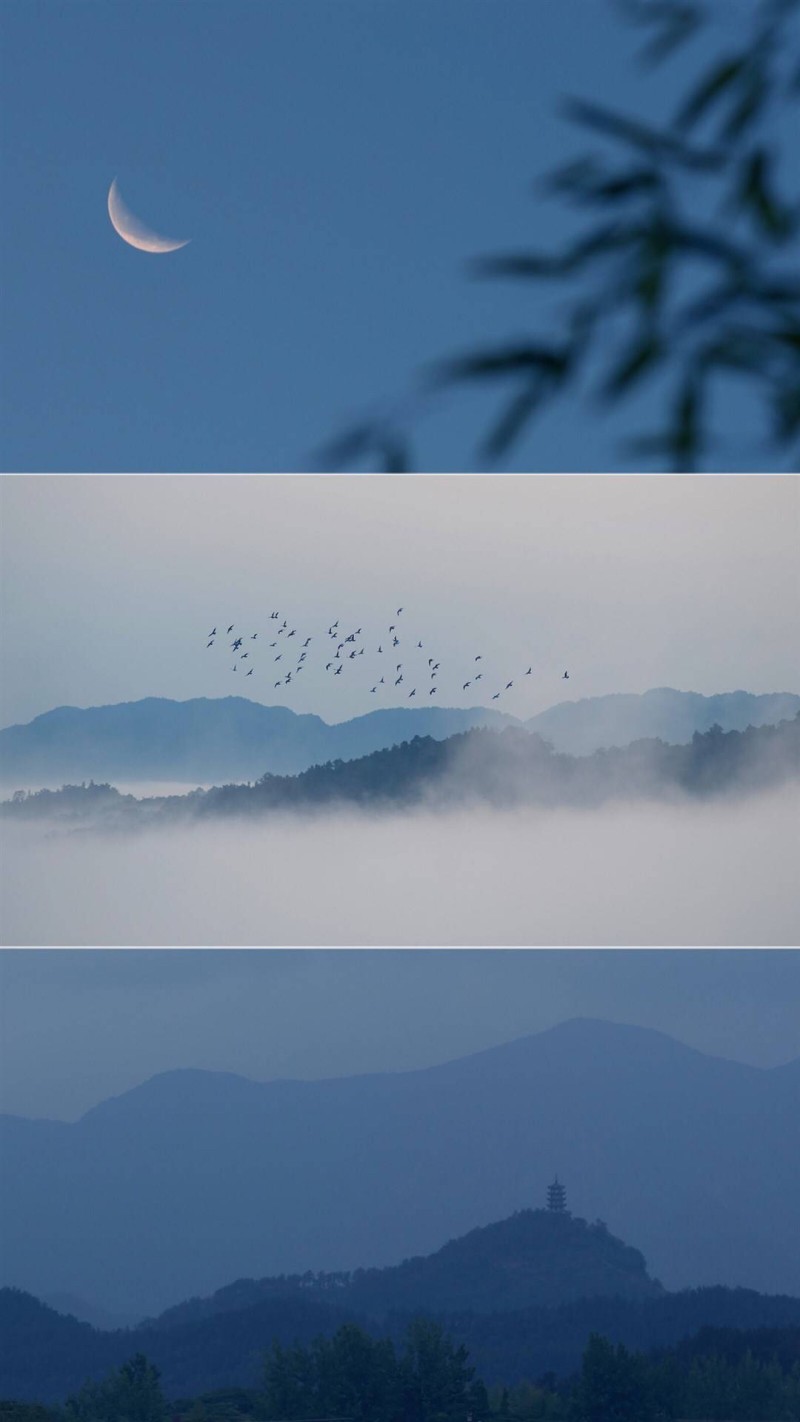 【氡】·竖屏风景绘风滤镜壁纸