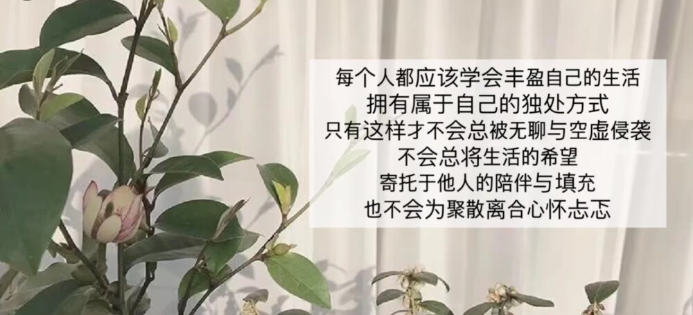 要丰富自己的生活，不要为了他人而委屈了自己