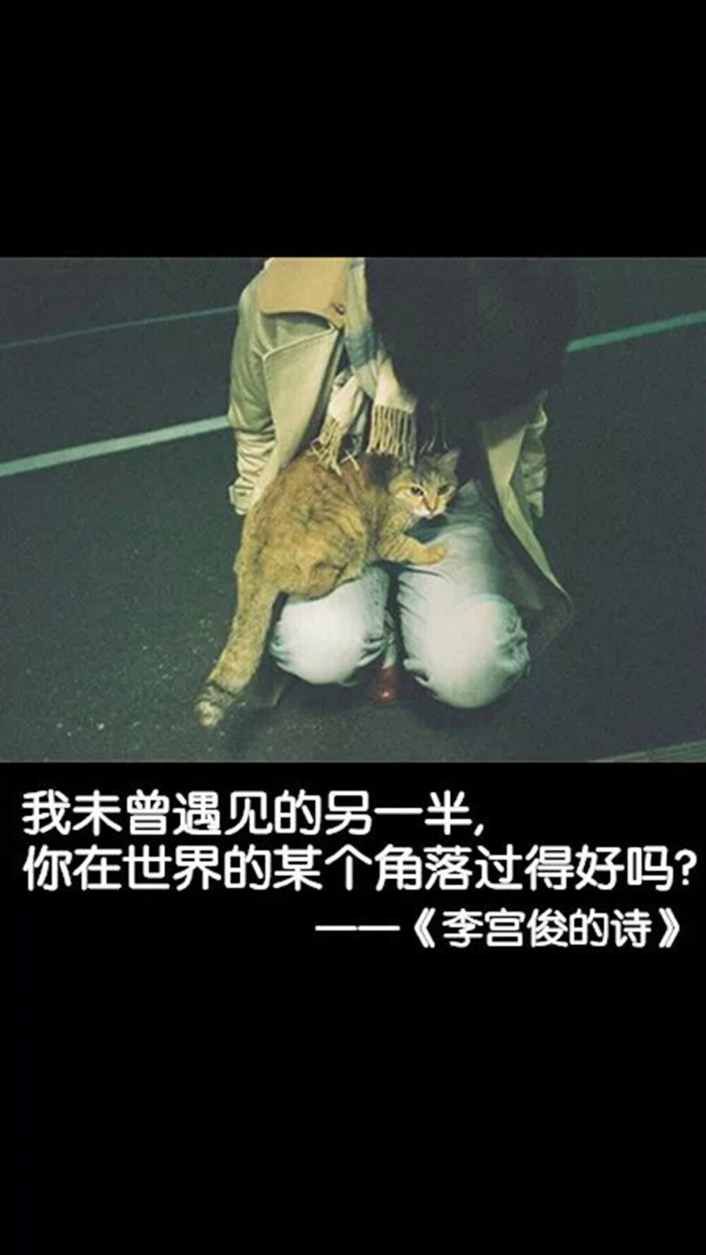 文字图片伤感 - 堆糖,美图壁纸兴趣社区