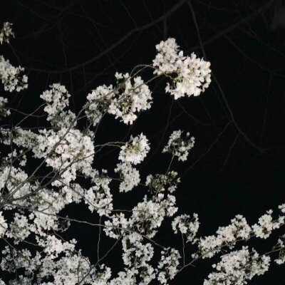 网易云 二传注明