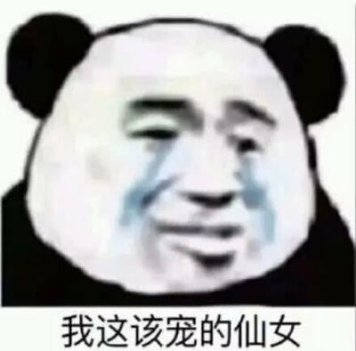 今日份的沙雕