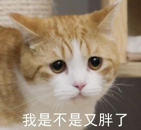 图源:花花与三猫CatLive