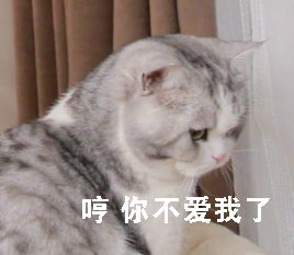 图源:花花与三猫CatLive