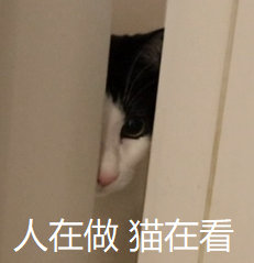 图源:花花与三猫CatLive