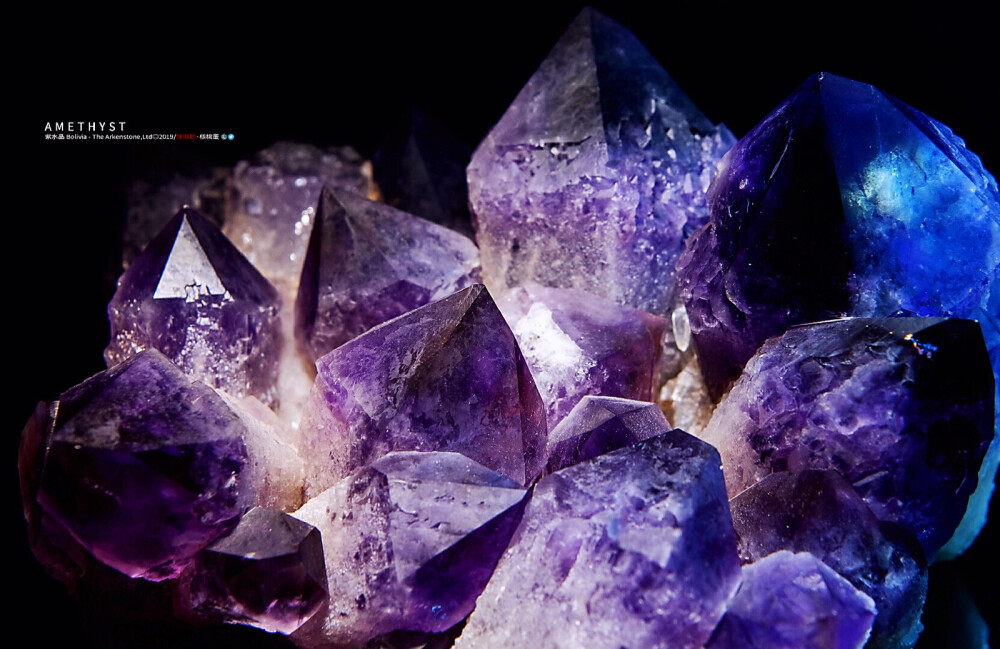紫水晶 产自玻利维亚 美国阿肯斯通矿晶公司藏