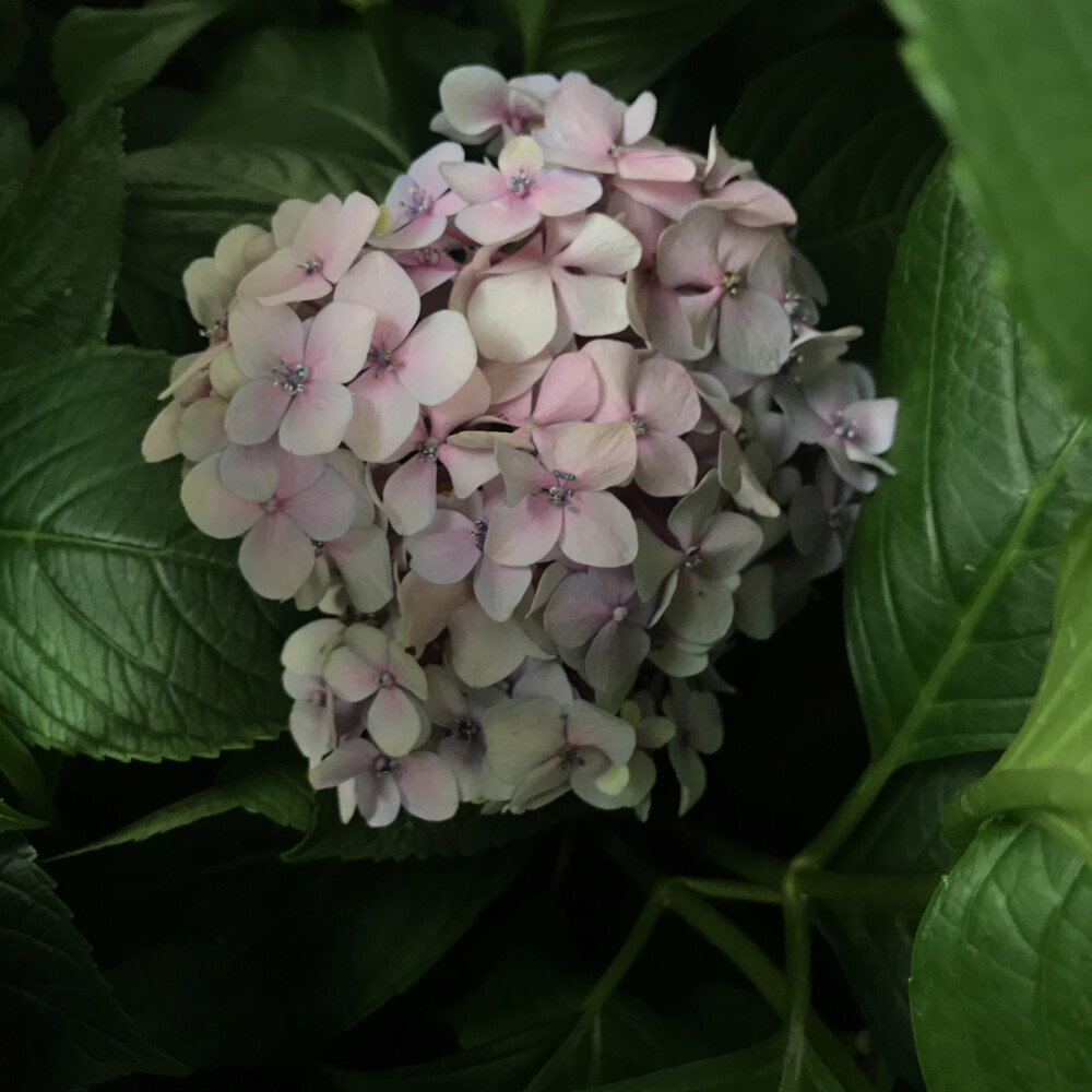 四川师范大学·静