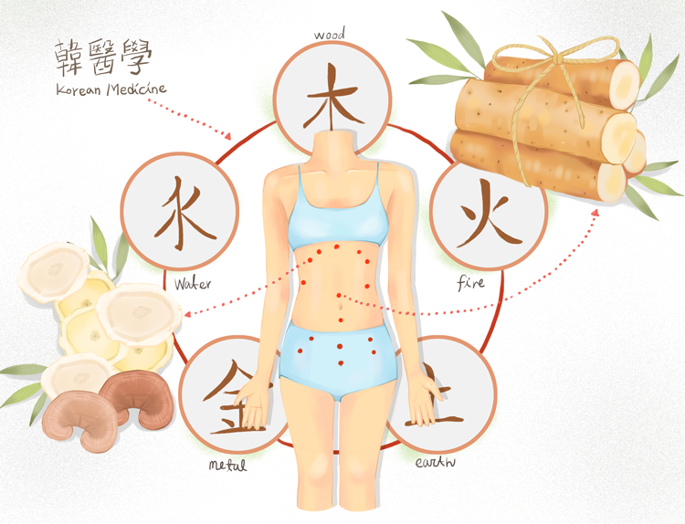 现代传统古典国学中医理疗养生药材调理插画装饰画挂画设计素材K3