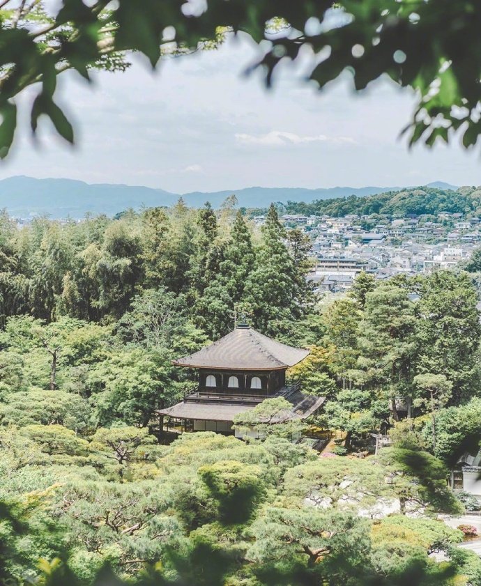 夏日气息