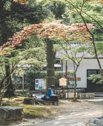 夏日气息