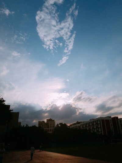 风景 景物 花卉 植物 拍摄 摄影 景物 美 天空（均为本人摄影@梓无柯）