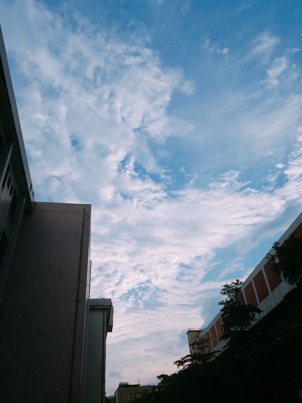 风景 景物 花卉 植物 拍摄 摄影 景物 美 天空（均为本人摄影@梓无柯）