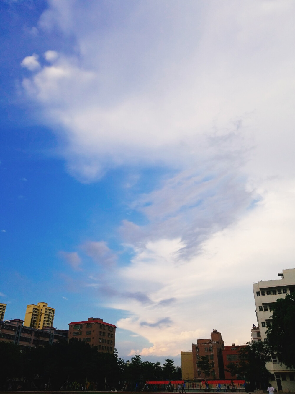 风景 景物 花卉 植物 拍摄 摄影 景物 美 天空（均为本人摄影@梓无柯）