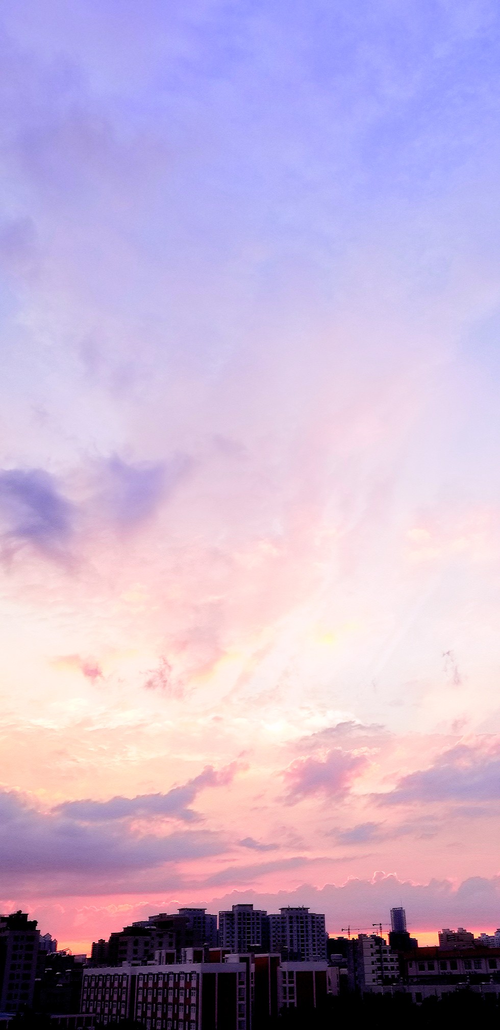 风景 景物 花卉 植物 拍摄 摄影 景物 美 天空（均为本人摄影@梓无柯）