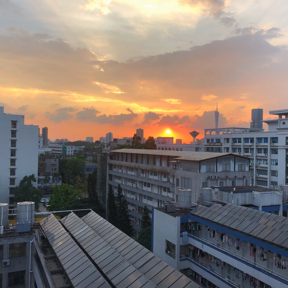 收集夏日的傍晚