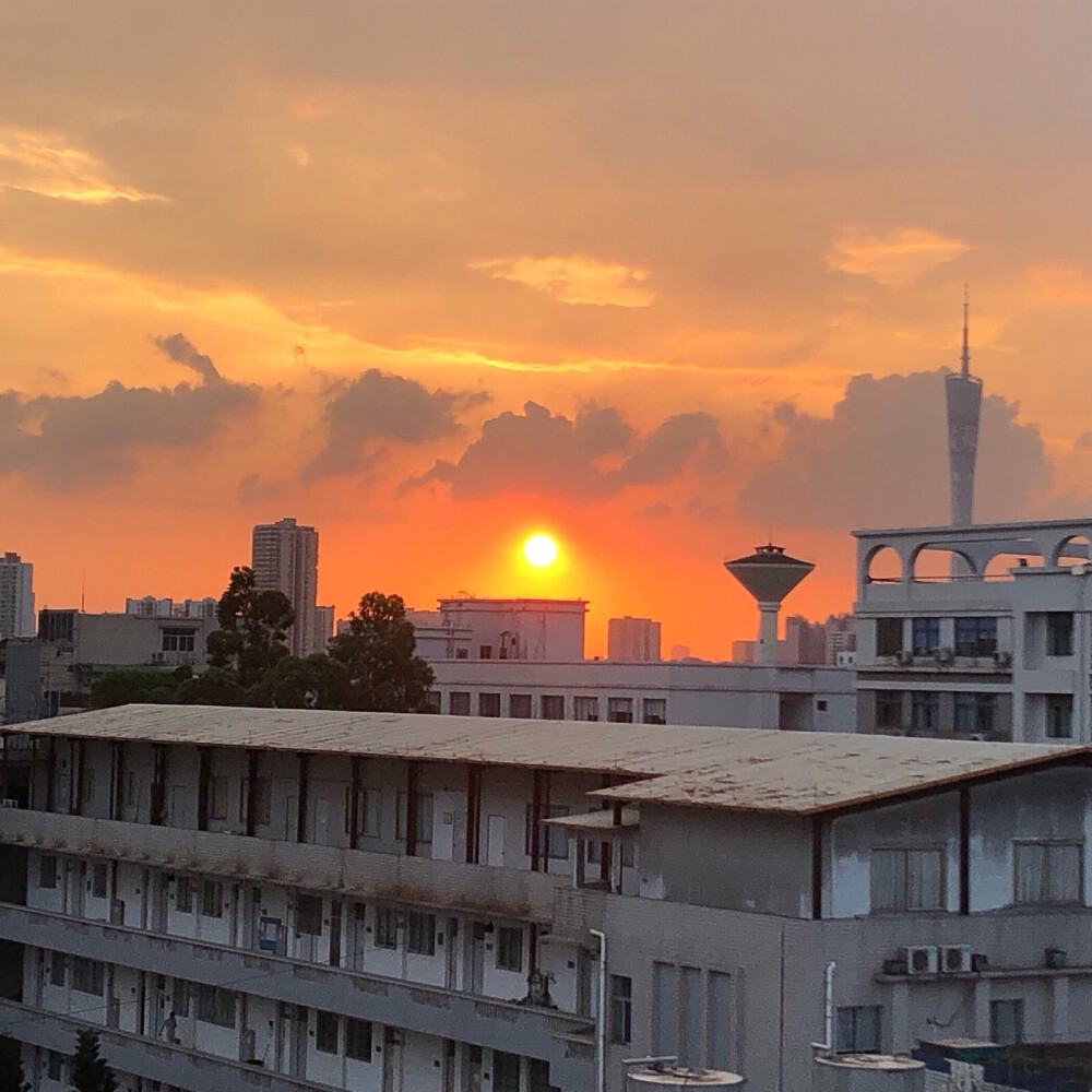 收集夏日的傍晚