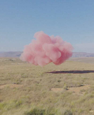 pink cloud
David Stenbeck ​​​