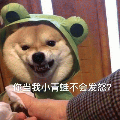 柴犬表情包