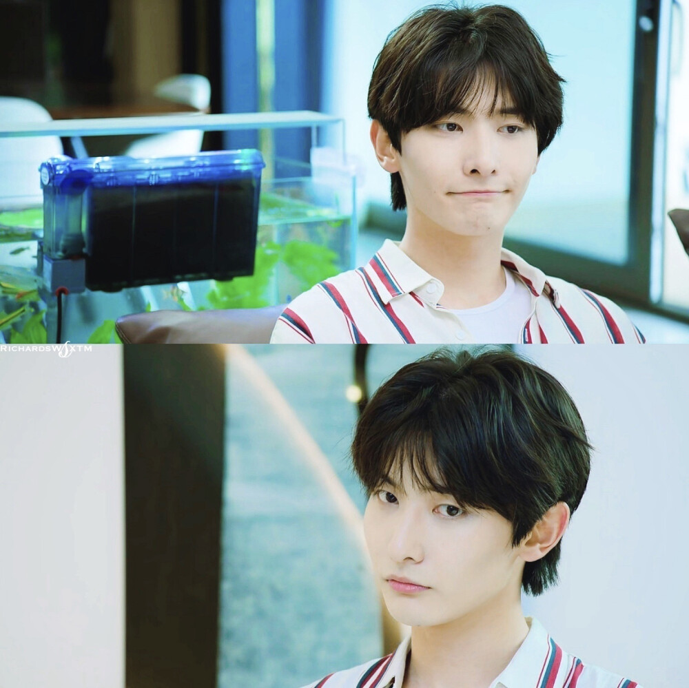 王瑞昌当她恋爱时