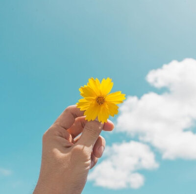 后海有树的院子 夏代有工的玉 此时此刻的月都不急二十来岁的你