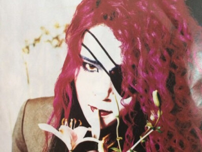 x hide