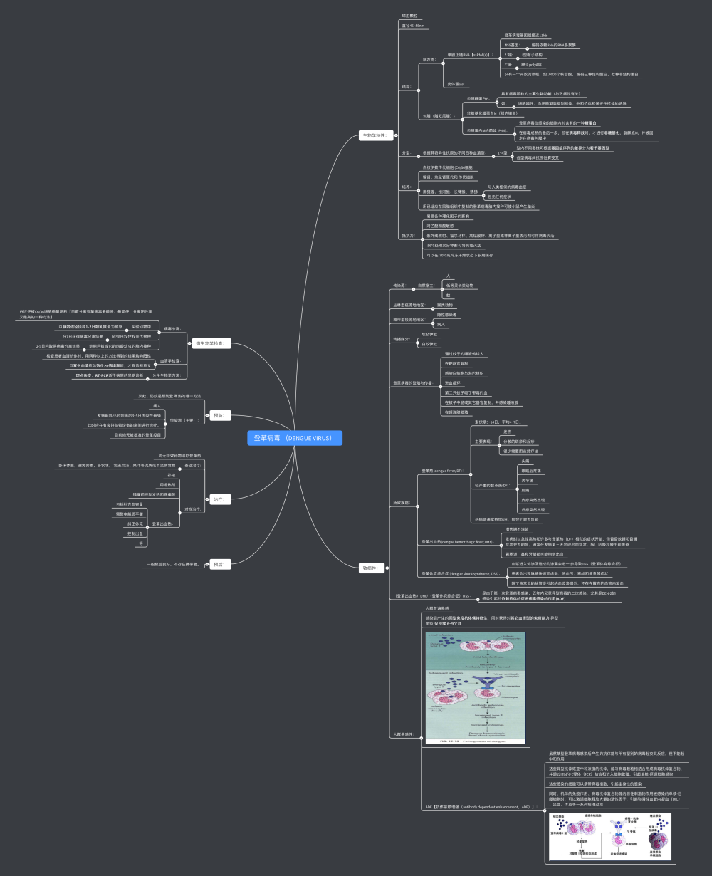 医学微生物学思维导图-登革病毒